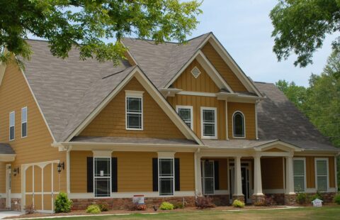 Apricot West Britford Arch